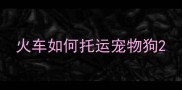 火车如何托运宠物狗