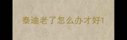 泰迪老了怎么办才好