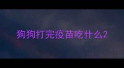 狗狗打完疫苗吃什么