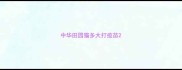 中华田园猫多大打疫苗