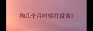 狗几个月时候打疫苗
