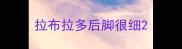 拉布拉多后脚很细