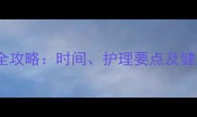 专业指南拉布拉多犬繁殖期全攻略时间护理要点及健康保障助您孕育健康幼犬