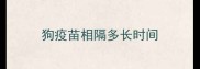 狗疫苗相隔多长时间