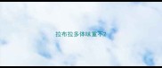 拉布拉多体味重不