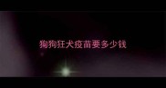 狗狗狂犬疫苗要多少钱