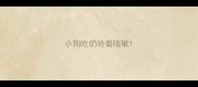 小狗吃奶呛着咳嗽