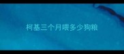 柯基三个月喂多少狗粮