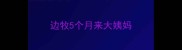 边牧5个月来大姨妈