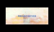 狗驱虫多久能打疫苗