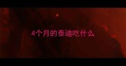 4个月的泰迪吃什么