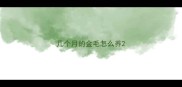 几个月的金毛怎么养