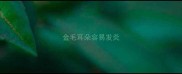 金毛耳朵容易发炎