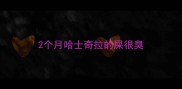 2个月哈士奇拉的屎很臭