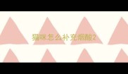 猫咪怎么补充烟酸