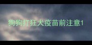 狗狗打狂犬疫苗前注意