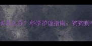 剃毛后毛发不生长怎么办科学护理指南狗狗剃毛后毛发生长全