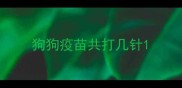 狗狗疫苗共打几针