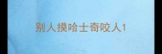 别人摸哈士奇咬人