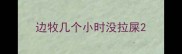 边牧几个小时没拉屎