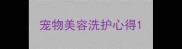 宠物美容洗护心得