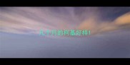 几个月的柯基好样