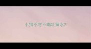 小狗不吃不喝吐黄水