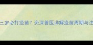 比熊犬三岁必打疫苗资深兽医详解疫苗周期与注意事项