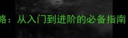 拉布拉多跑步全攻略从入门到进阶的必备指南附科学训练表