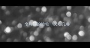 一个月大的边牧一天吃几餐