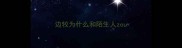 边牧为什么和陌生人zou