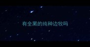 有全黑的纯种边牧吗