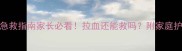 泰迪便血急救指南家长必看拉血还能救吗附家庭护理全攻略