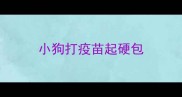 小狗打疫苗起硬包