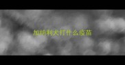 加纳利犬打什么疫苗