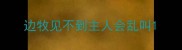 边牧见不到主人会乱叫