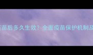 狗狗接种疫苗后多久生效全面疫苗保护机制及护理指南