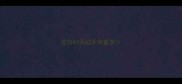 边牧40天幼犬体重多少