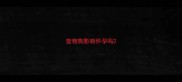 宠物狗影响怀孕吗