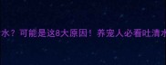 狗狗吐清水可能是这8大原因养宠人必看吐清水处理指南