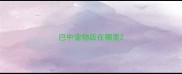 巴中宠物店在哪里