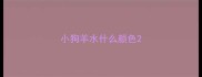 小狗羊水什么颜色