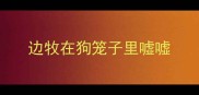 边牧在狗笼子里嘘嘘