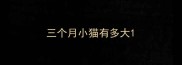 三个月小猫有多大