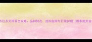 南京拉布拉多犬饲养全攻略品种特点选购指南与日常护理附本地犬舍推荐