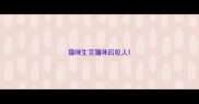 猫咪生完猫咪后咬人