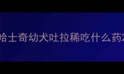 哈士奇幼犬吐拉稀吃什么药