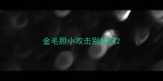 金毛胆小攻击别的狗