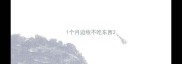 1个月边牧不吃东西