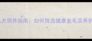 广州金毛犬领养指南如何挑选健康金毛及养护全攻略